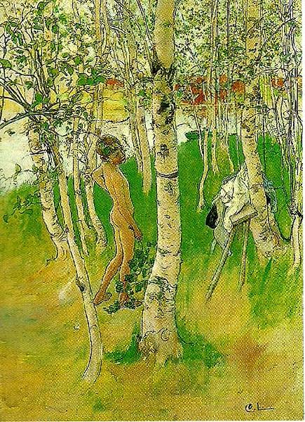 Carl Larsson ulf en naken pojke mellan bjorkstammar-ulf badar pa bullerholmen Norge oil painting art